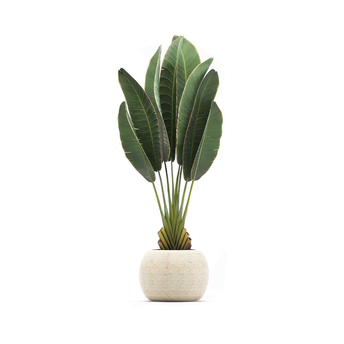 https://elliott-lawns.com/wp-content/uploads/2018/09/product_06.jpg