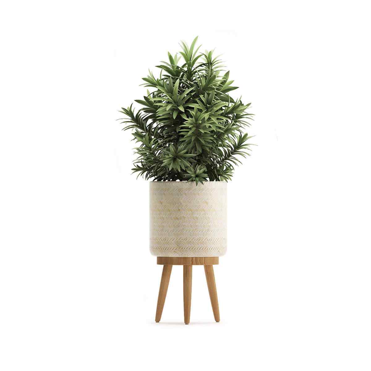 https://elliott-lawns.com/wp-content/uploads/2018/09/product_07.jpg