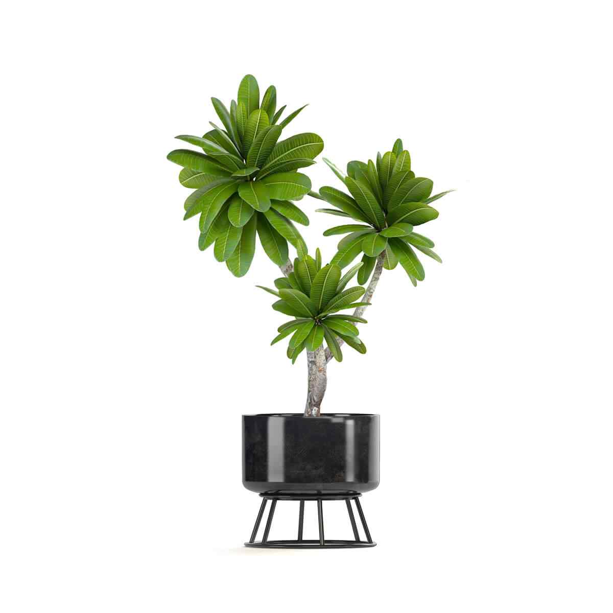 https://elliott-lawns.com/wp-content/uploads/2018/09/product_08.jpg