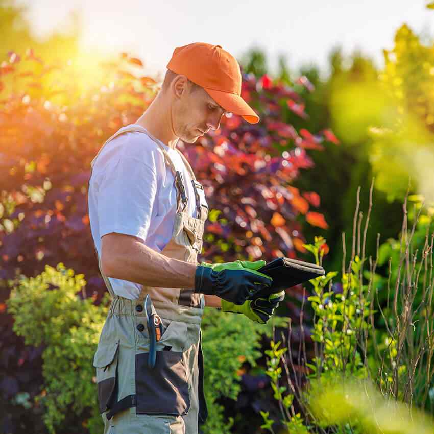 https://elliott-lawns.com/wp-content/uploads/2019/08/home_04_inner_01.jpg
