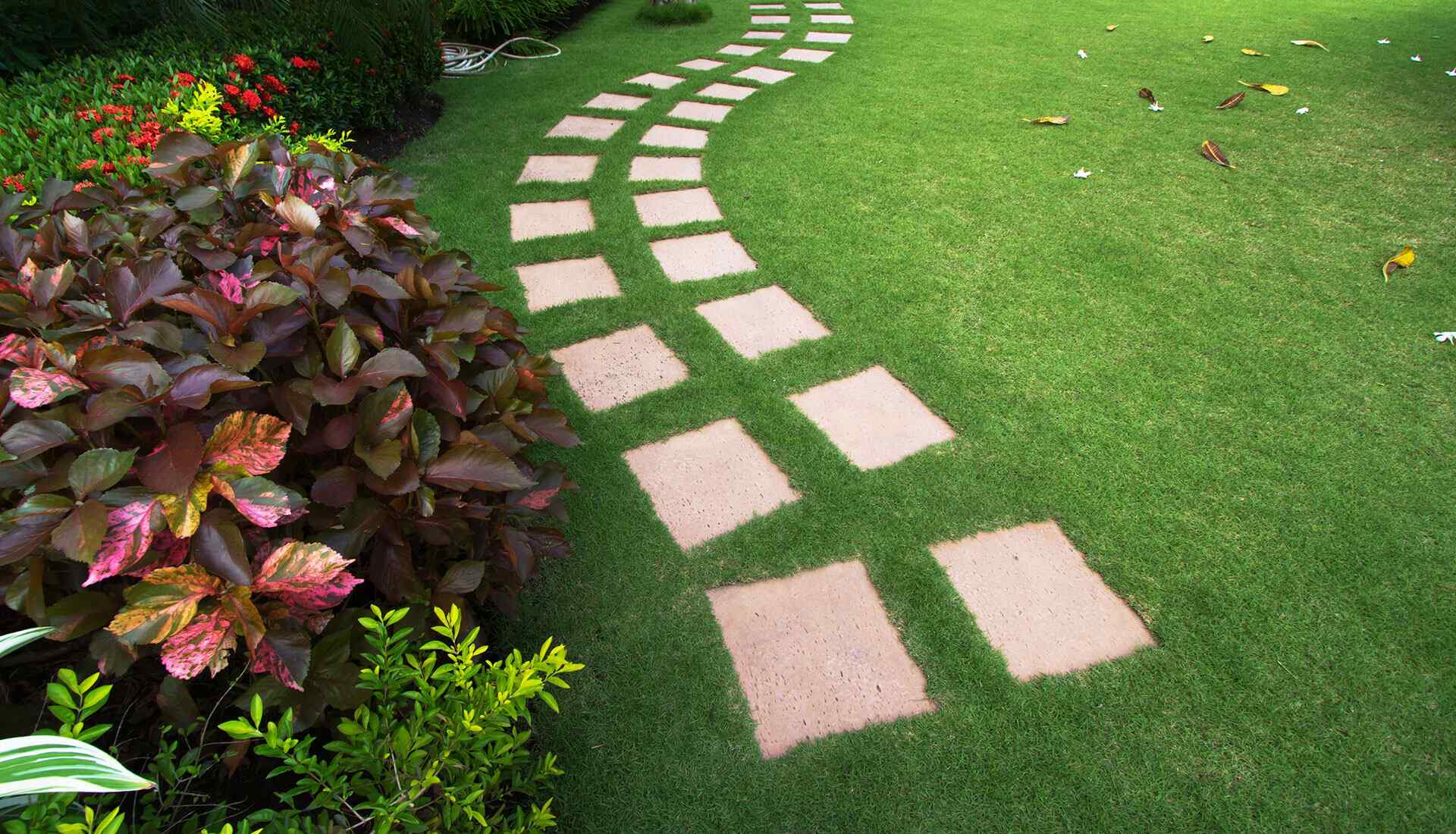 https://elliott-lawns.com/wp-content/uploads/2019/08/home_4_gallery_1.jpg