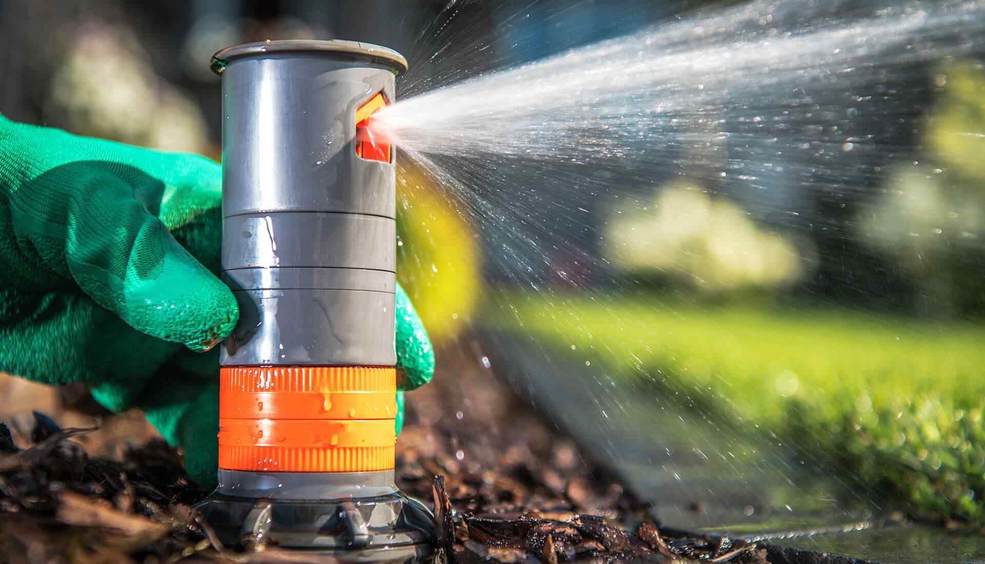 https://elliott-lawns.com/wp-content/uploads/2019/08/home_4_gallery_2.jpg