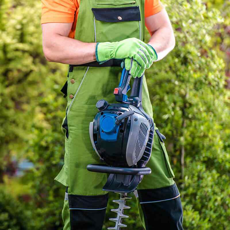 https://elliott-lawns.com/wp-content/uploads/2019/08/home_4_services.jpg