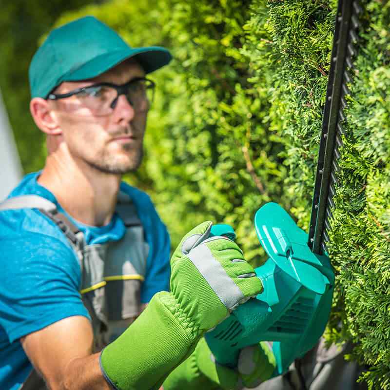 https://elliott-lawns.com/wp-content/uploads/2019/08/team_05.jpg