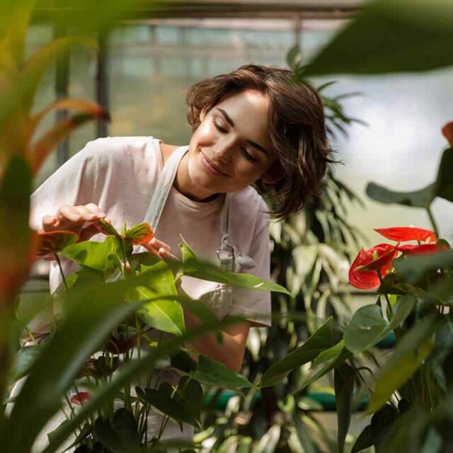 https://elliott-lawns.com/wp-content/uploads/2019/08/team_06-640x640.jpg