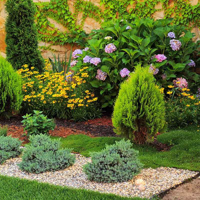 https://elliott-lawns.com/wp-content/uploads/2019/09/card_07.jpg
