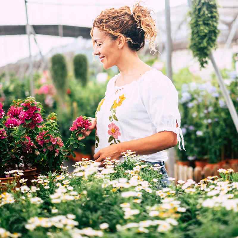 https://elliott-lawns.com/wp-content/uploads/2019/09/card_24.jpg
