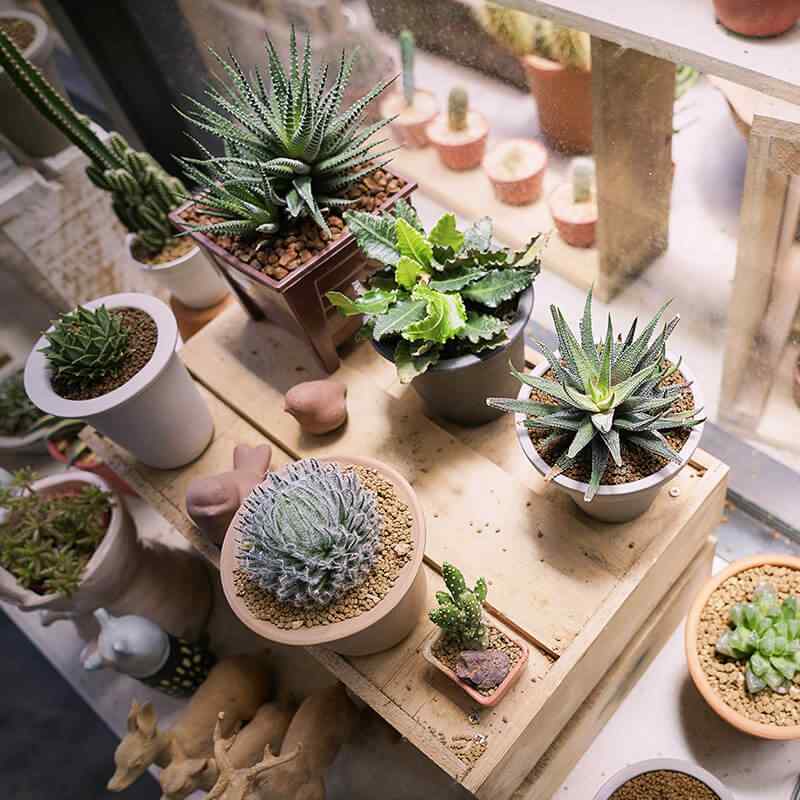 https://elliott-lawns.com/wp-content/uploads/2019/09/card_28.jpg